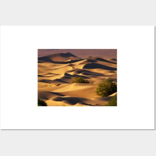 Sand Dunes Posters and Art